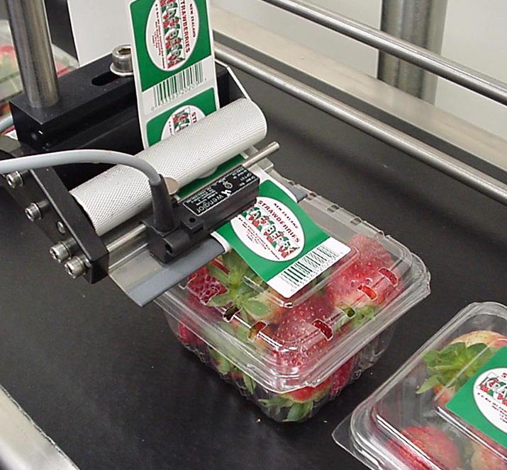 Food Label Printer Machine